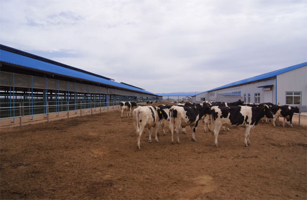 牧源牧場(chǎng)