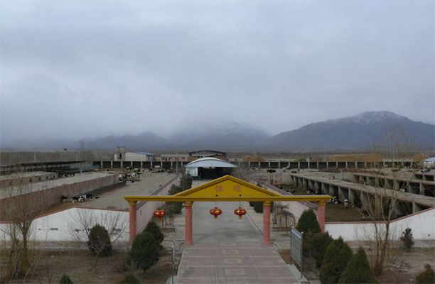 信旺牧場(chǎng)