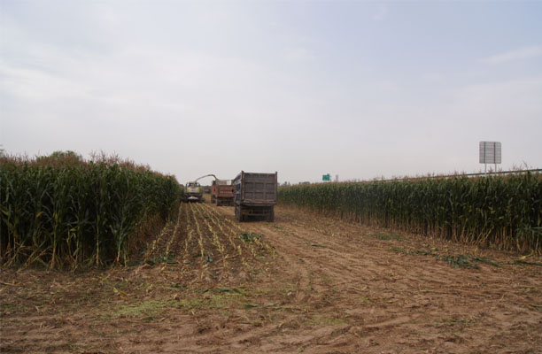 贏(yíng)源草業(yè)