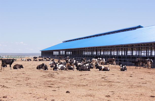 元邦牧場(chǎng)