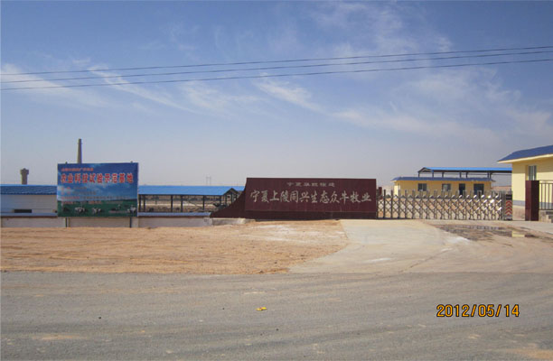 眾牛牧場(chǎng)